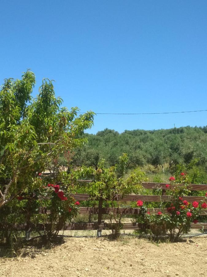 Eden Garden Villa Skalanion Exterior foto